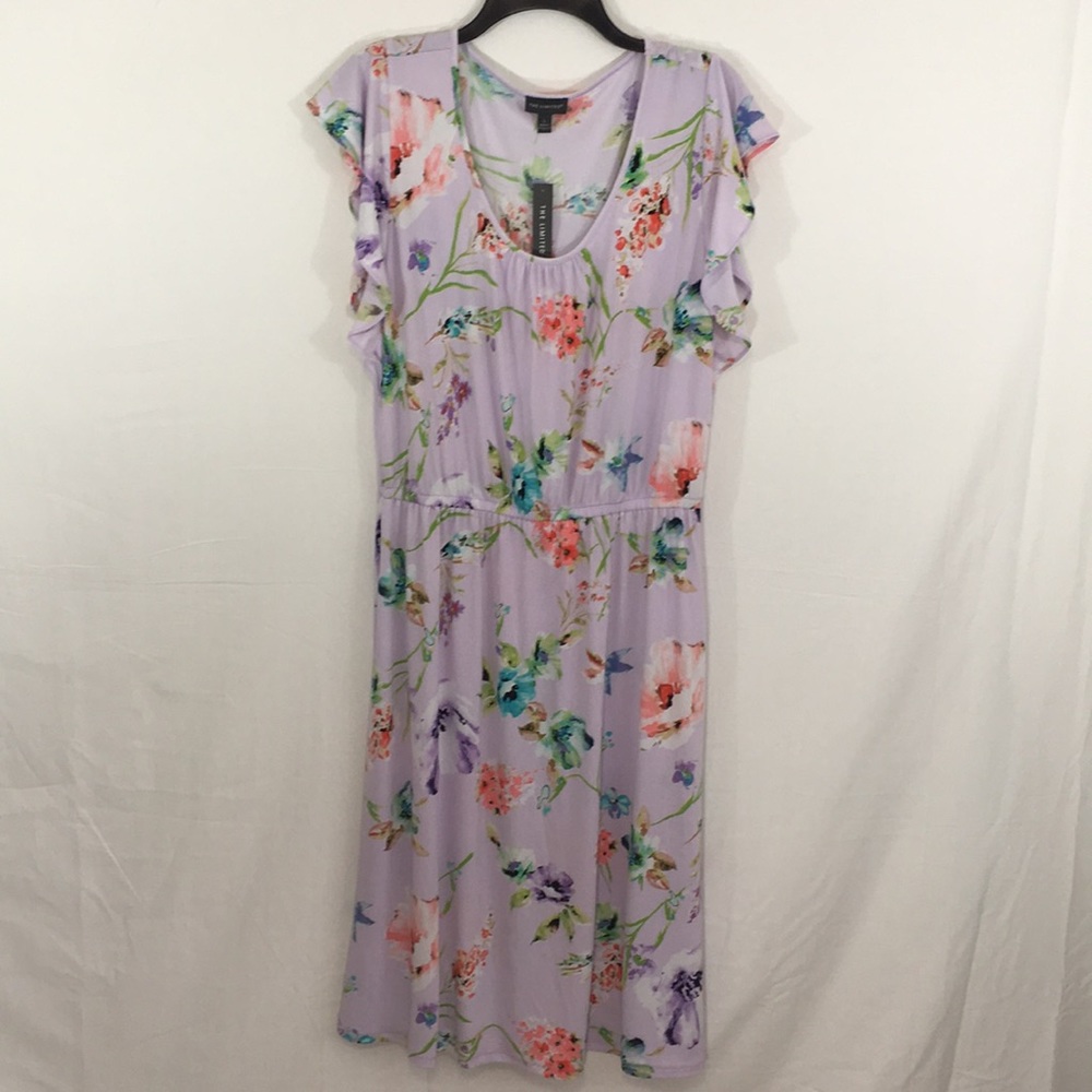 NWT The Limited Romantic Garden Dress - Picture 2 of 7